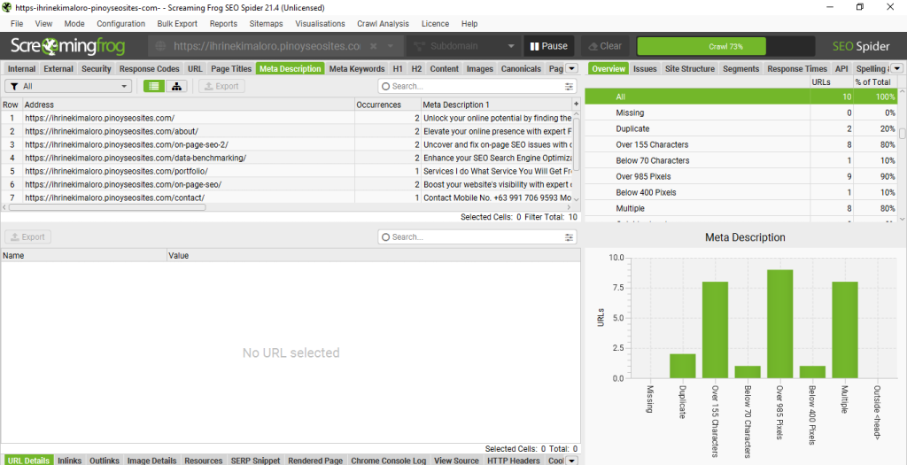 website audit